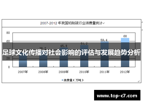 足球文化传播对社会影响的评估与发展趋势分析