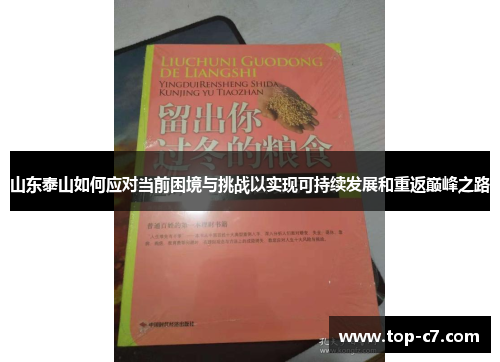 山东泰山如何应对当前困境与挑战以实现可持续发展和重返巅峰之路