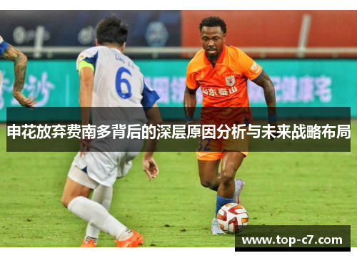 申花放弃费南多背后的深层原因分析与未来战略布局