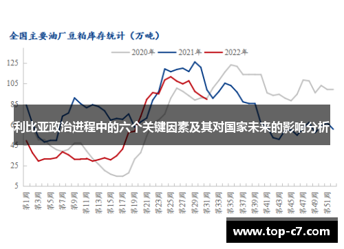 利比亚政治进程中的六个关键因素及其对国家未来的影响分析