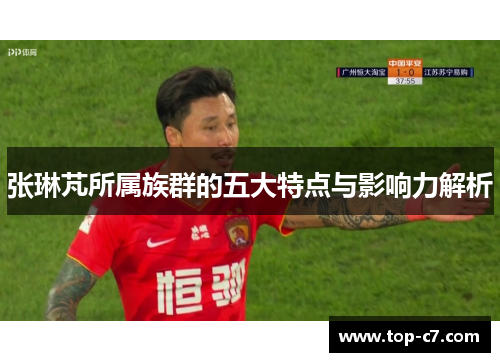 张琳芃所属族群的五大特点与影响力解析