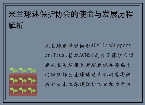 米兰球迷保护协会的使命与发展历程解析