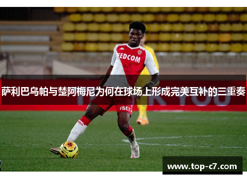 萨利巴乌帕与楚阿梅尼为何在球场上形成完美互补的三重奏
